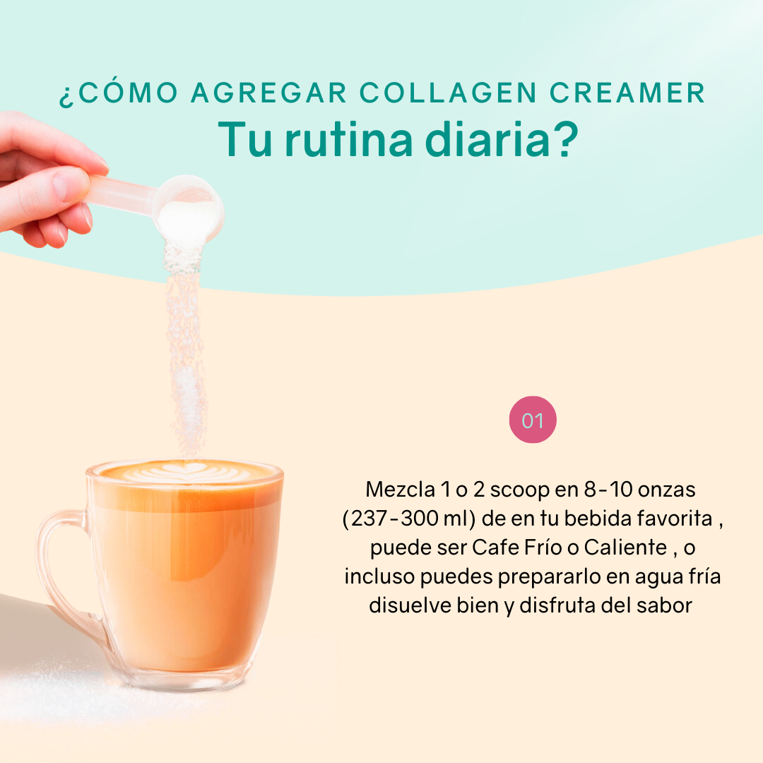 Collagen Creamer (Vanilla)